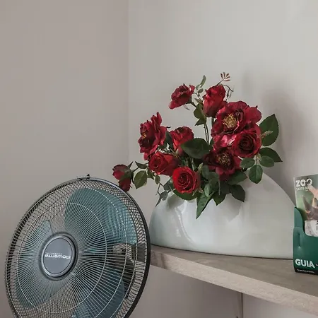 Apartment A Francos Gyn Lovers Porto